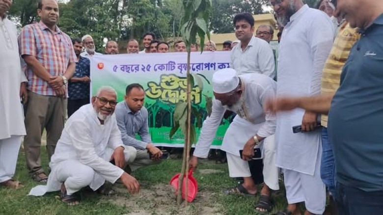 বৃক্ষরোপণ কর্মসূচির উদ্বোধন করলেন সাবেক উপমন্ত্রী আব্দুস সালাম পিন্টু...